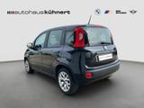 Fiat Panda 1.2 8V Lounge PDC - Fiat Panda: Schwarz