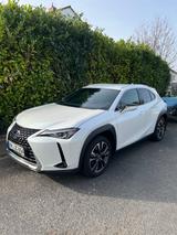 Lexus UX 250h Style Edition / Tüv Neu / Scheckheft  - Lexus UX aus 2020