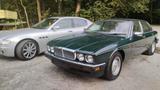 Jaguar XJ40 H Kennzeichen  - Jaguar XJ40 aus 1993