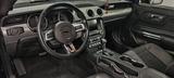 Other Mustang Cabrio Shelby - : Cabrio, Shelby