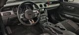Andere Mustang Cabrio Shelby - Andere mit Benzin-Antrieb: Cabrio