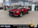 Mazda CX-30 2.0 (150PS) Schalter Selection Prem-P. 360 - Mazda CX-30 in Frankfurt (Main)