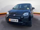 Fiat Panda City Plus Spring 1.0 GSE 69 PS - Fiat Panda in Nürnberg