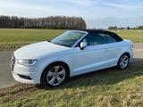 Audi A3 Cabrio 2.0 TDI 150 PS Ambition | T... - Audi A3: Cabrio, 1.2
