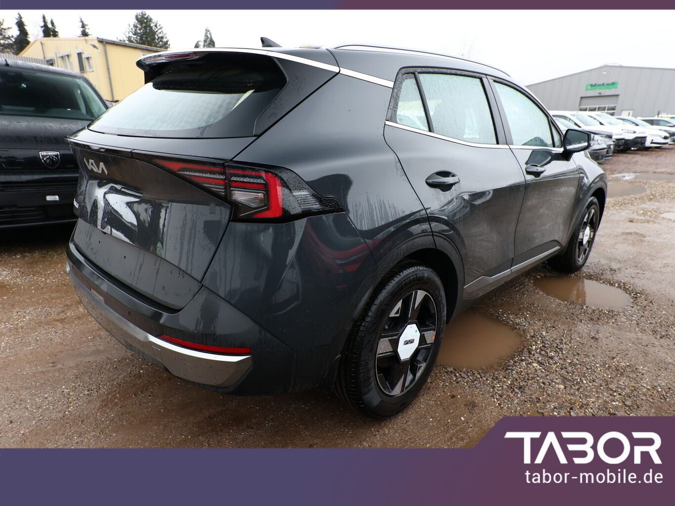 Kia Sportage - Bild 3