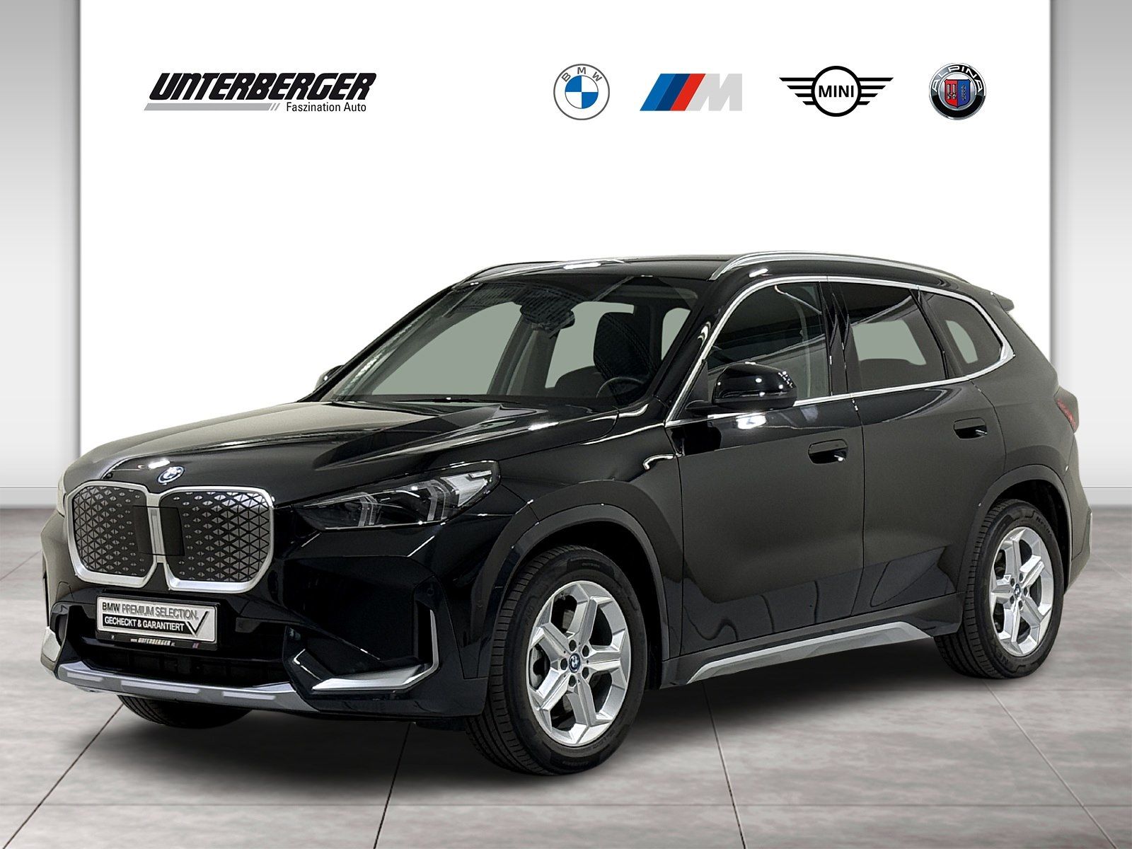 BMW iX1 xDrive30 xLine AHK RFK DA PA ALED Sitzhzg