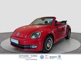 Volkswagen Beetle Cabrio 1.2 TSI Design Rückfahrkamera Xeno - Volkswagen Beetle in Düsseldorf