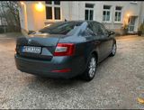 Skoda Octavia 1.2 TSI Green tec Joy Joy - Skoda Octavia in Hagen