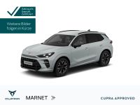 Cupra Terramar - Vorschau Bild 1