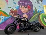 Kawasaki VN900 - Angebote