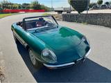 Alfa Romeo Spider Duetto 1600 - Rundheck - Alfa Romeo Spider 1600 Gebrauchtwagen