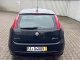 Fiat Punto 1.2 8V - - Fiat Punto in Bielefeld