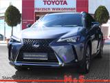 Lexus UX 300 e - Lexus Elektroautos