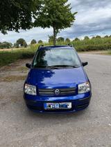 Fiat Panda 1.2 8V Dynamic /Bj.2007 / Top Gepflegt  - Fiat Panda in Düsseldorf