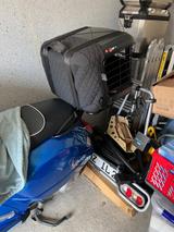 Vespa GTS 300 mit ABS und Hundekorb - VESPA 300 GTS