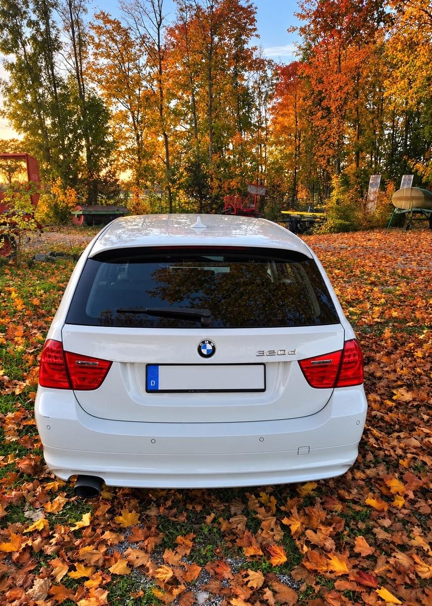 BMW 318 2011 — interior