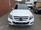 Mercedes-Benz GLK 350 4Matic "Panorama"Navi"SiHz"AHK - weiße Mercedes-Benz GLK 350