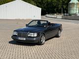 Mercedes-Benz E 320 E 320 - Mercedes-Benz E 320: Cabrio