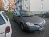 Nissan Primera P12 Kombi | Vollausstattung | Web