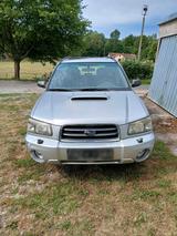 Subaru Forester 4WD  2 LITER TURBO - Subaru Forester Turbo mit Benzin-Antrieb