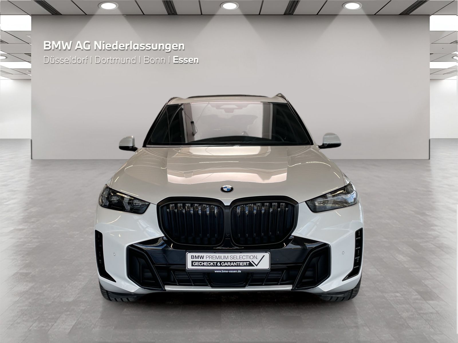 BMW X5 - Bild 8