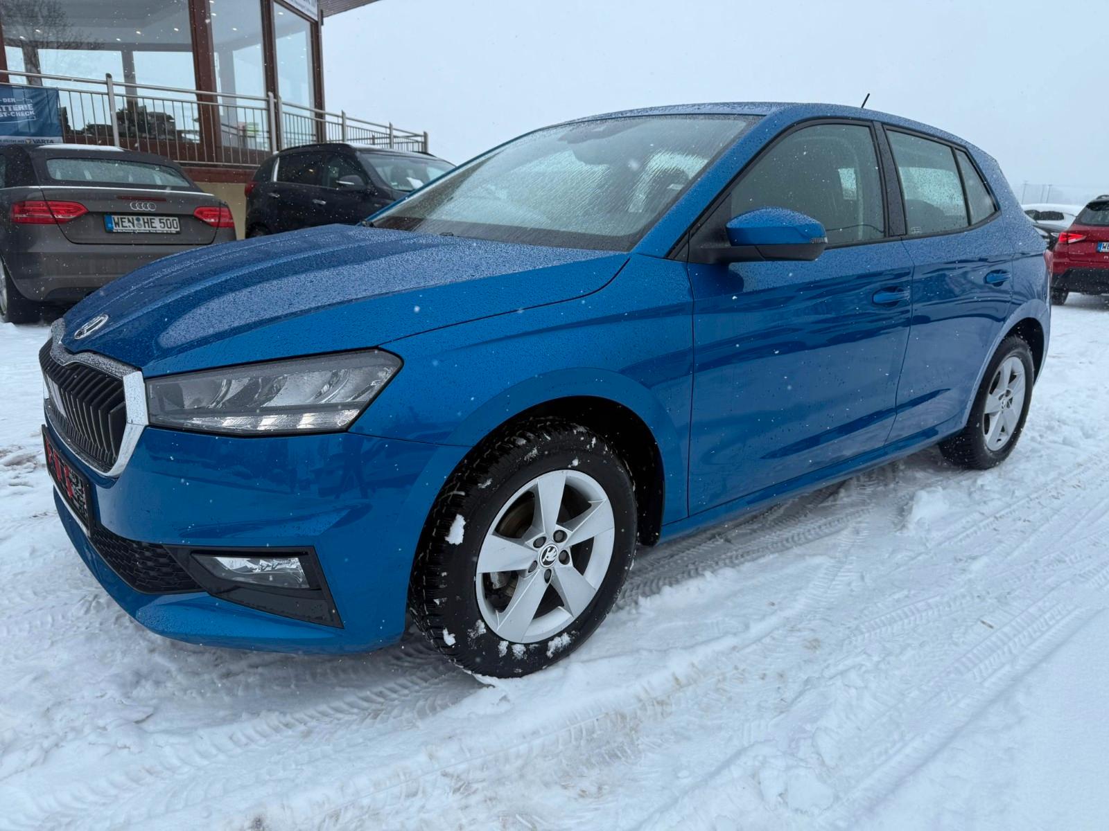 Skoda Fabia Selection 1.0 TSI AHK SHZ ALU SMARTLINK PD