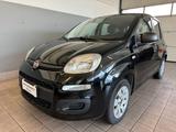 Fiat Panda 1.2 Pop Neopatentati - Fiat Panda POP mit Benzin-Antrieb