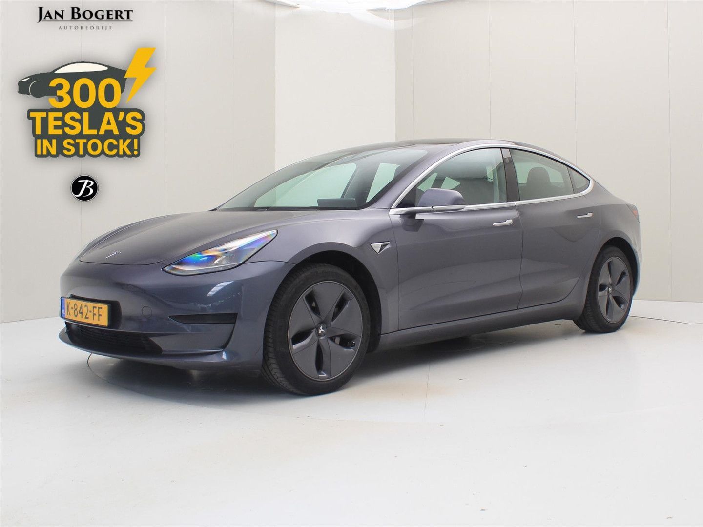Tesla Model 3 Standard RWD Plus 89.5% SoH [ TREKHAAK+L