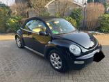 Volkswagen Beetle 1.6SG5 - VW Beetle Gebrauchtwagen in Hamburg