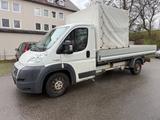 Fiat Ducato Maxi Pritsche 35 150  L5 - Fiat Ducato: 15