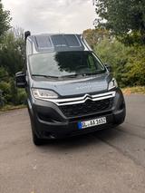 Pössl Roadcruiser Revolution Hubbett 165 PS - Kastenwagen Hubbett