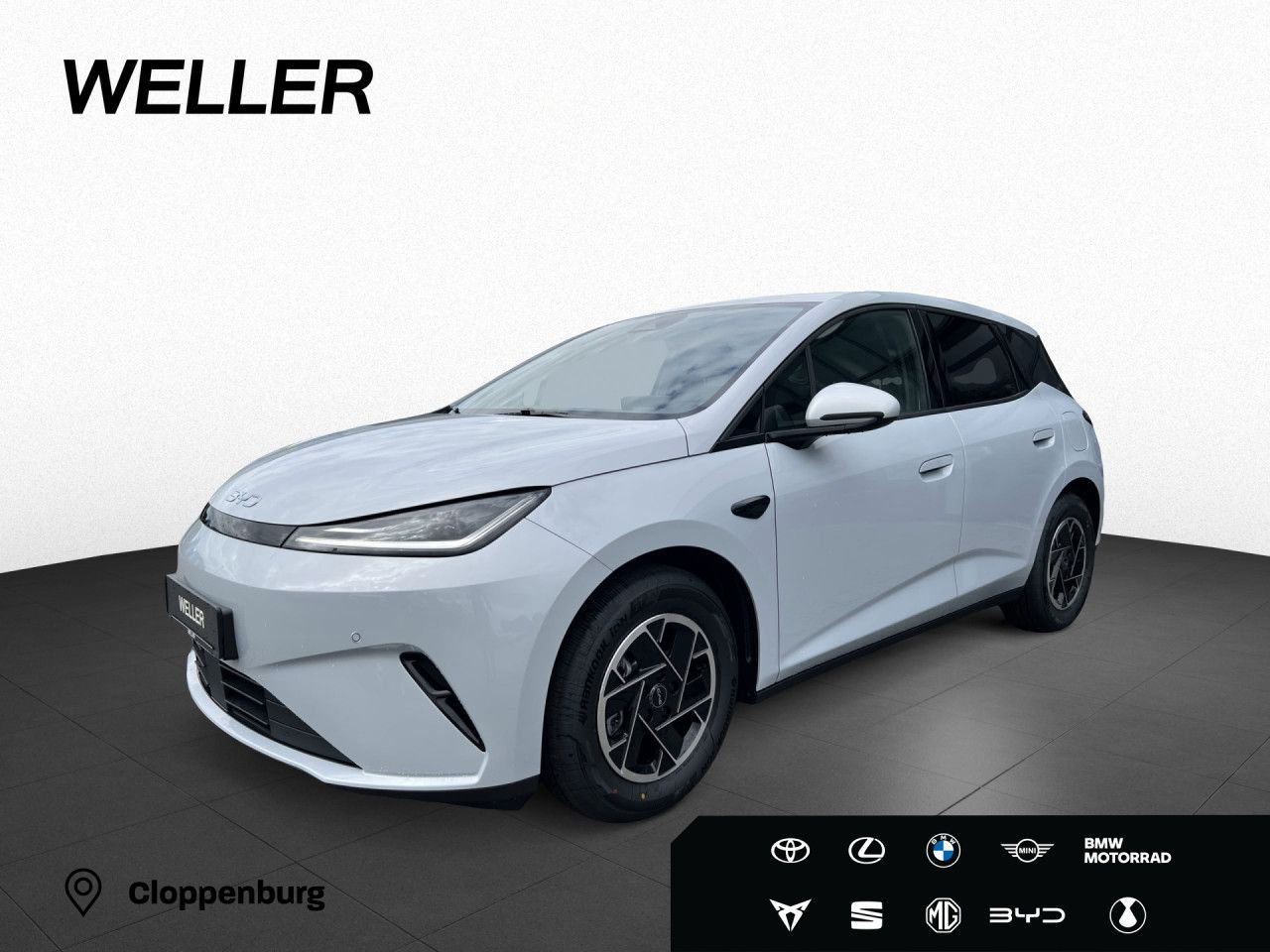 BYD DOLPHIN