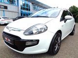 Fiat Punto Evo 1.2 8V MyLife*EURO 5-KLIMA-ALU* - weiße Fiat Punto Evo