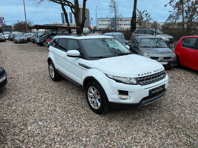 Land Rover Range Rover Evoque 2.2 Td4 Leder Panorama Kamera