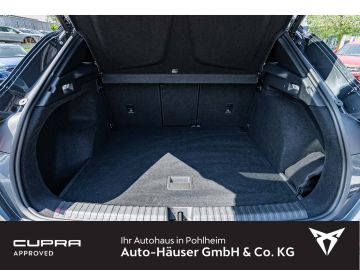 Cupra Terramar - 9