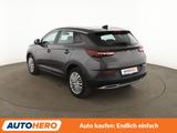 Opel Grandland X 2.0 CDTI Business INNOVATION Aut. - Opel Grandland (X) mit Diesel-Antrieb