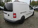 Volkswagen Caddy 1.6 TDI Maxi Kasten/AHK+TÜV NEU!!! - Autotransporter