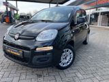 Fiat Panda Easy - Fiat Panda aus 2019