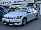 Volkswagen Golf 1.4 TGI BlueMotion Variant Business PDC AHK - Volkswagen Golf mit CNG-Antrieb: Kombi