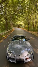 Toyota Supra 3.0 Turbo Lightweight Lightweight - Toyota Supra: Turbo