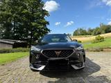 Cupra Formentor 2.0 TSI 4Drive DSG | 310 PS | VZ - Cupra Formentor: Privatanbieter