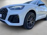 Audi Q5 S line 40 TDI quattro S tronic *Kamera*AHK* - Audi Q5 in Wiesbaden