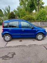 Fiat Panda 1,2 8V Dynamic - Fiat Panda: Von Privat