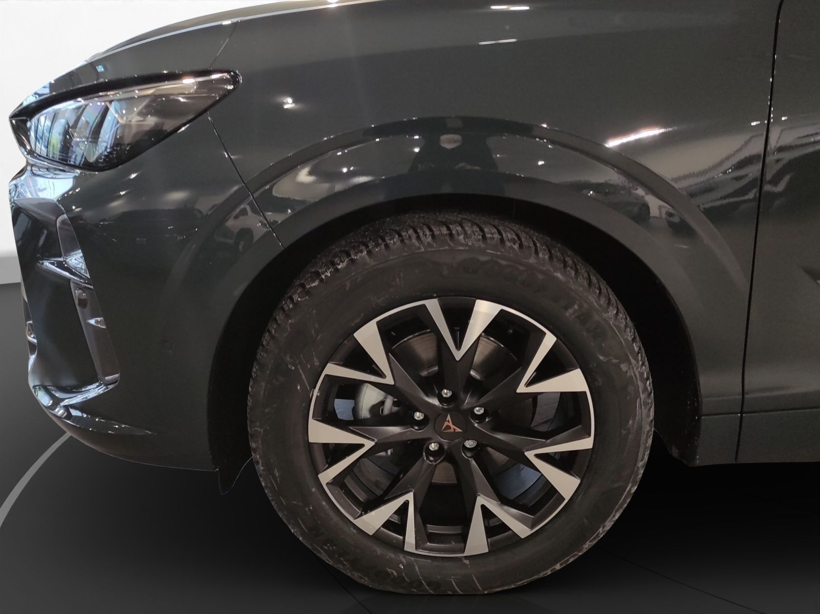 Cupra Terramar - Bild 9