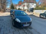 Fiat Punto - Fiat Punto Gebrauchtwagen in München