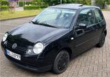 Volkswagen Vw Lupo VW Lupo Oxford HU/AU 02.2028 Rentn... - Volkswagen Lupo: Oxford