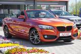 BMW 218i Sportline LED el. Verdeck Tempomat PDC DAB - mit Benzin-Antrieb: Orange, Cabrio