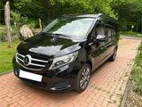 Mercedes-Benz Marco Polo Horizon 4matic - Mercedes-Benz Allradantrieb