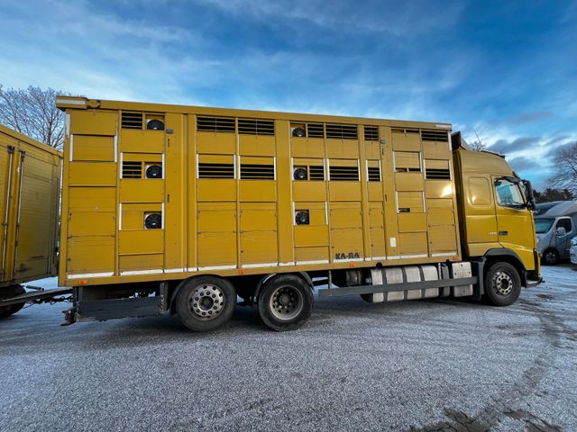 Volvo FH 420  Viehtransporter