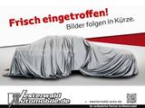 Honda Jazz Hybrid 1.5 i-MMD e-CVT Executive - Honda Jazz Executive mit Hybrid-Antrieb (Benzin/Elektro)